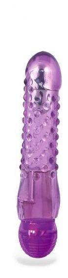 Bump N Grind Purple Vibrator