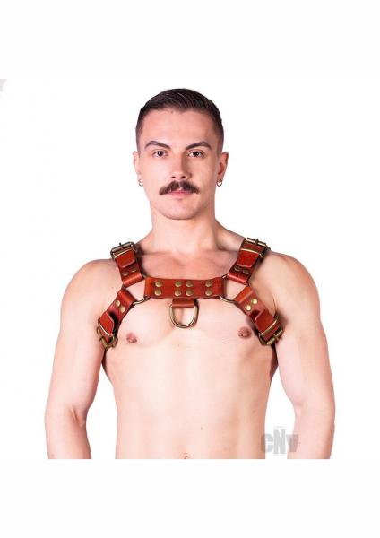 Prowler Red Butch Harness Brn/Brs Xl