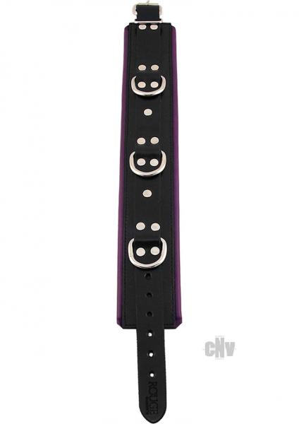 Rouge Padded Collar Black/Purple