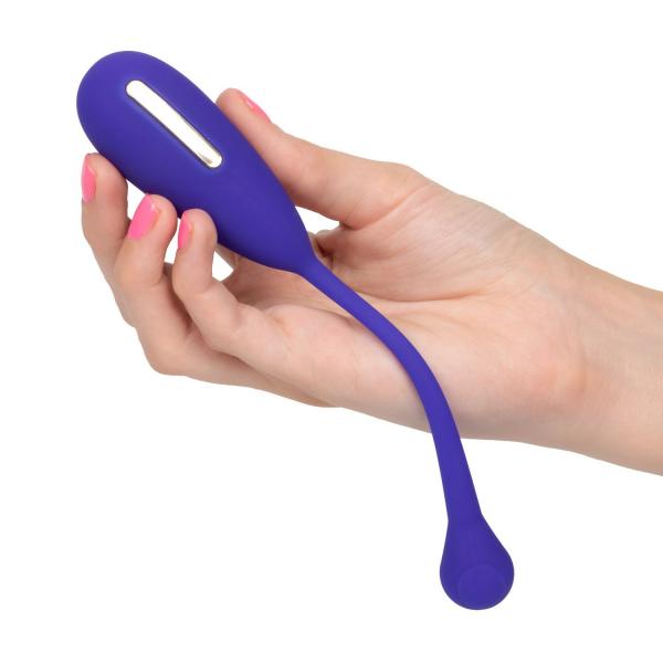 Impulse Intimate E Stimulator Remote Kegel Exerciser