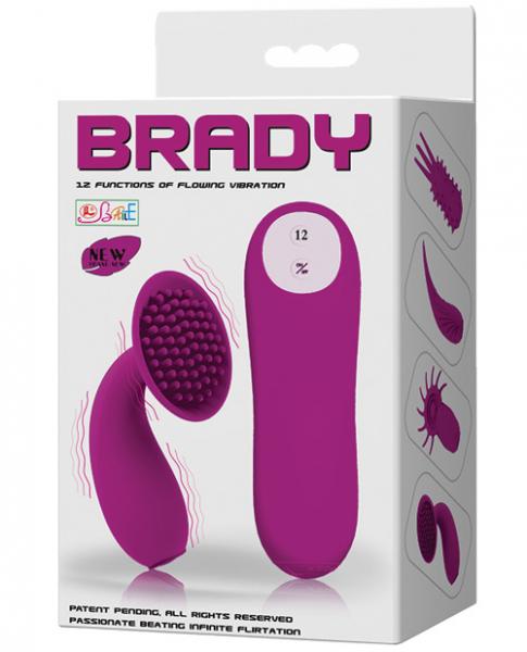 Pretty Love Brady 12 Functions Vibration Silicone Purple