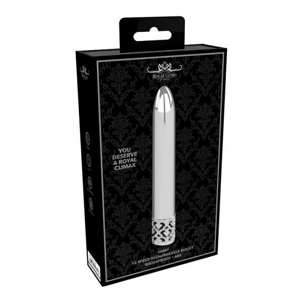 Royal Gem Shiny Abs Rechargeable Bullet Silver