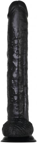 Adam & Eve 15 In Dark Rider