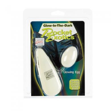 Glow In The Dark Vibrating Egg