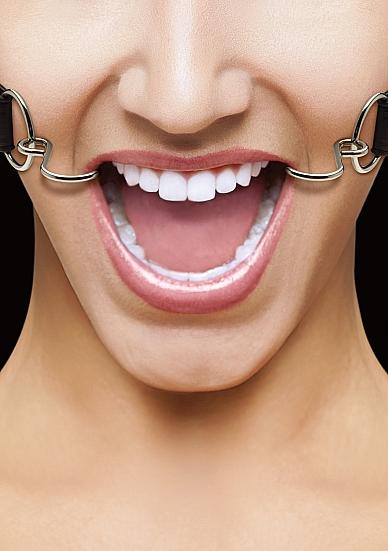Ouch Hook Gag With Leather Straps Black O/S