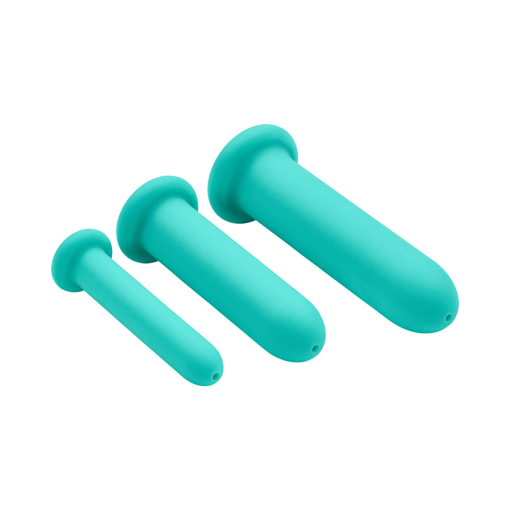Cloud 9 Health & Wellness Anal Clitoral & Nipple Massager Kit Plum