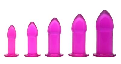 5 Piece Anal Trainer Set Purple