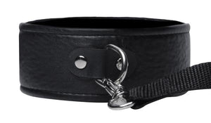 Frisky Beginner Leash And Collar Set