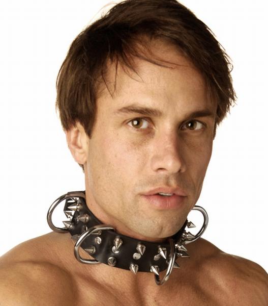 Strict Leather Spiked Dog Collar