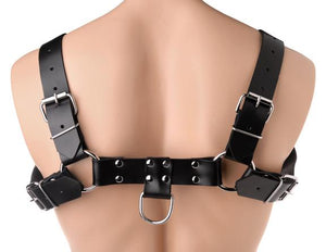 English Bull Dog Harness Black Leather