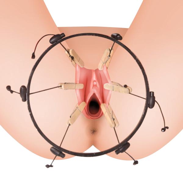 The Pussy Spreader Female Bondage Device Bulk