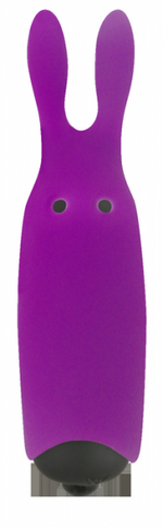 Adrien Lastic Pocket Vibe Purple Clitoral Stimulator