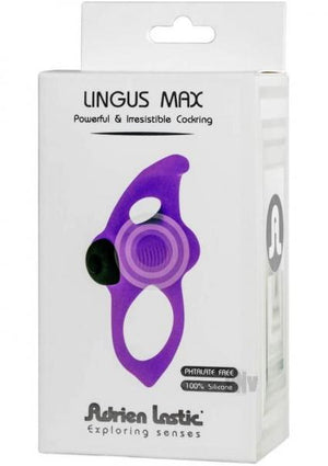 Lingus Max Purple