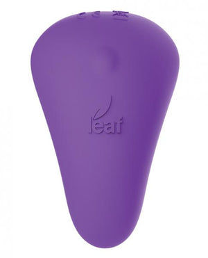 Leaf Plus Spirit Panty Vibe With Remote Control Purple