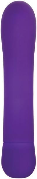 Eve's Orgasmic G Purple G Spot Vibrator