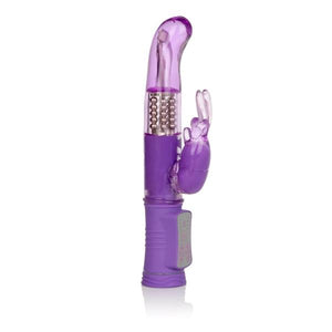 Shanes World Jack Rabbit G Purple
