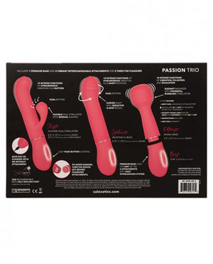 In Touch Passion Trio Pink Vibrator Kit