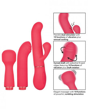 In Touch Passion Trio Pink Vibrator Kit