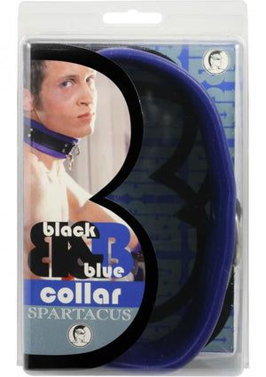 Black And Blue Leather Collar
