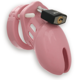 Cb6000 S Male Chastity Device Pink Small