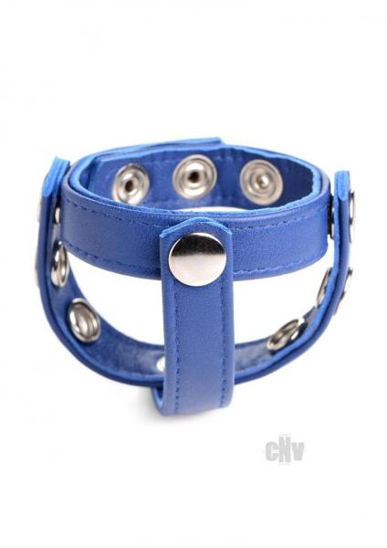 Cg Leather Snap On Harness Blue