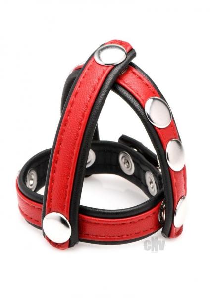 Cg Leather Snap On Harness Red