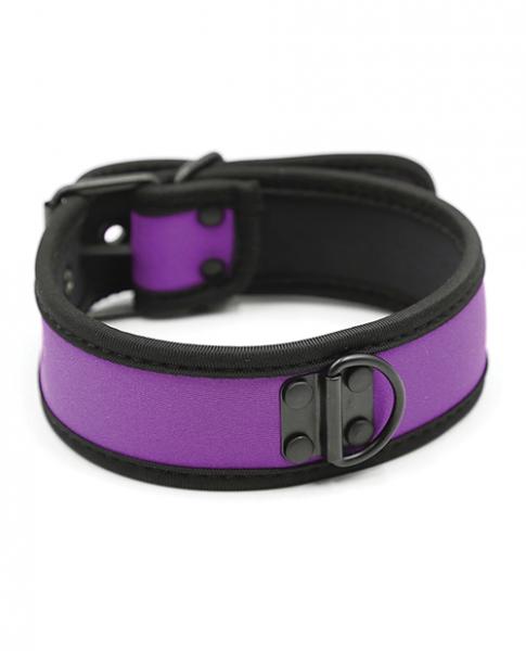 Plesur Neoprene Puppy Collar Purple