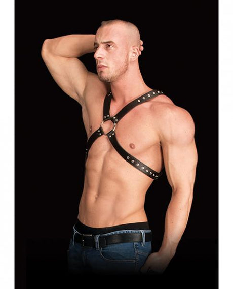 Adonis High Chest Halter Black Leather O/S