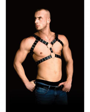 Andreas Masculine Masterpiece Body Harness Black