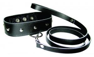 Sportsheets Leather Leash And Collar