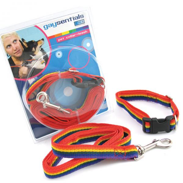 Gs Pet Combo Leash/Collar (Medium)