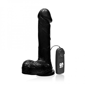 8 Inches Cock Balls, Vibrating Egg & Suction Cup Black