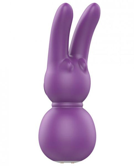 Femmefunn Funn Buddies Stubby 2 Massager Purple
