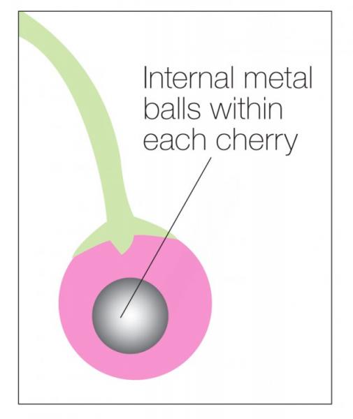Charming Cherries Silicone Kegel Exercisers