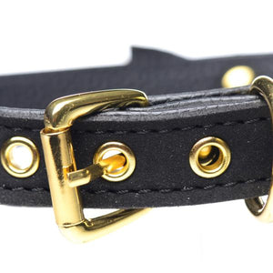 Golden Kitty Cat Bell Collar Black/Gold