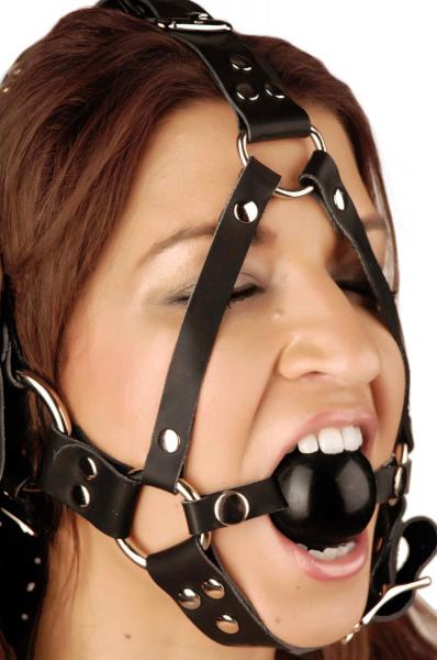 Leather Ball Gag Harness