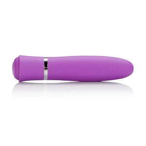 Taking Care Of Business Bullet Vibrator Purple