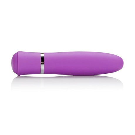 Taking Care Of Business Bullet Vibrator Purple