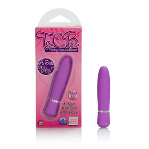 Taking Care Of Business Bullet Vibrator Purple